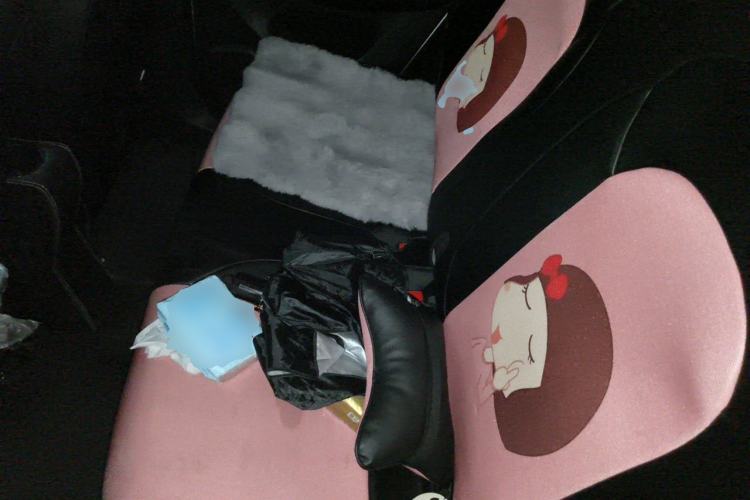 Used Leapmotor T03 2021 400 Micro-Sugar Version Left Rear Seat