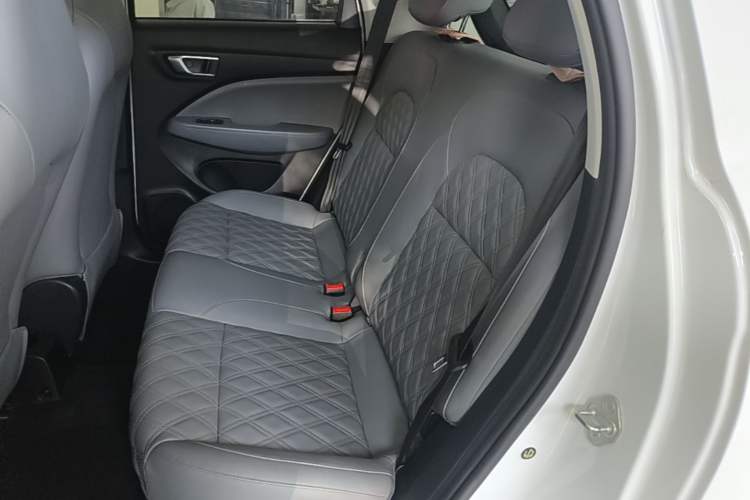 Used Leapmotor T03 2021 400 Luxury Edition Left Rear Seat