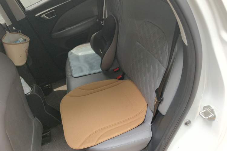 Used Leapmotor T03 2021 400 Luxury Edition Left Rear Seat