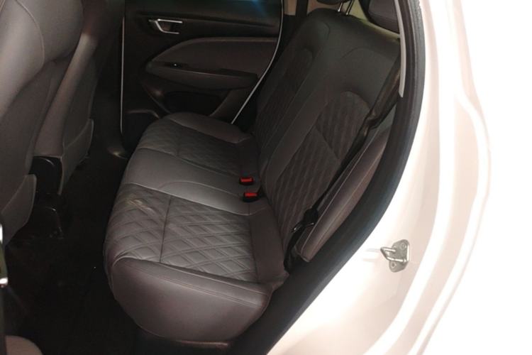Used Leapmotor T03 2021 400 Comfort Edition Left Rear Seat