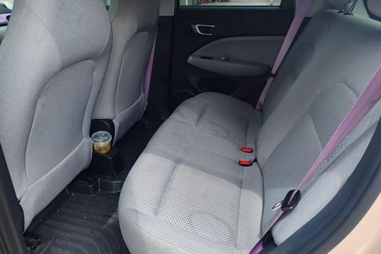 Used Leapmotor T03 2021 400 Micro-Sugar Version Left Rear Seat