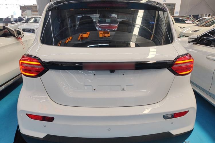 Used Leapmotor T03 2021 400 Luxury Pro Edition Rear