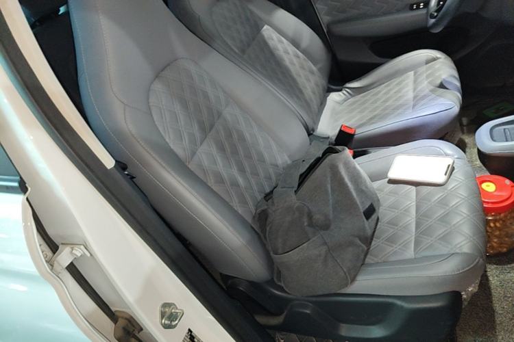 Used Leapmotor T03 2021 400 Luxury Edition Right Front Seat