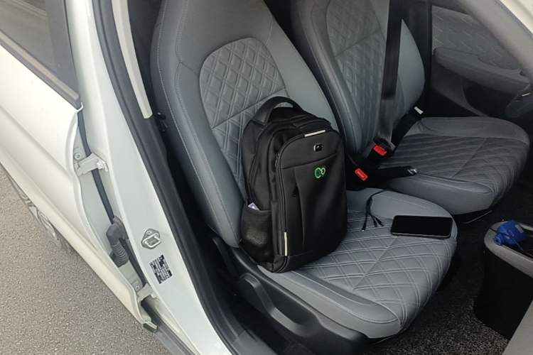 Used Leapmotor T03 2021 400 Micro-Sugar Version Right Front Seat