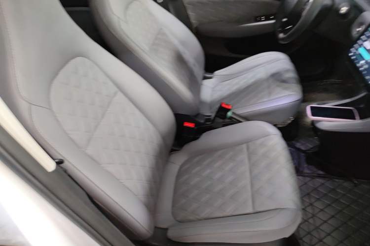 Used Leapmotor T03 2021 400 Luxury Edition Right Front Seat