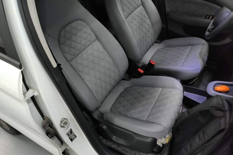 Used Leapmotor T03 2021 400 Luxury Pro Edition Right Front Seat