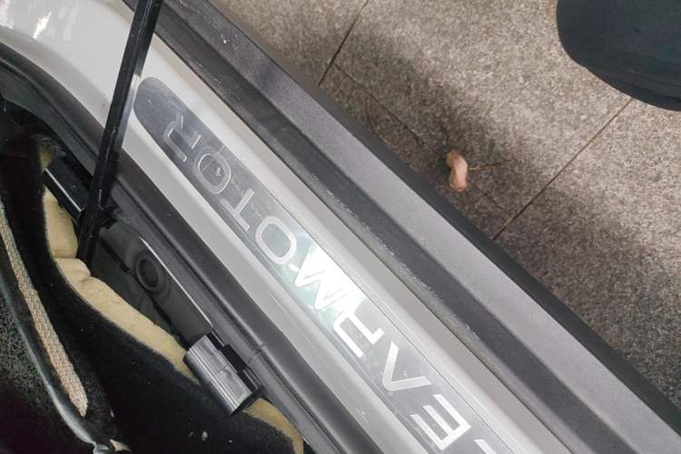 Used Leapmotor T03 2021 400 Luxury Edition Right Side Sill