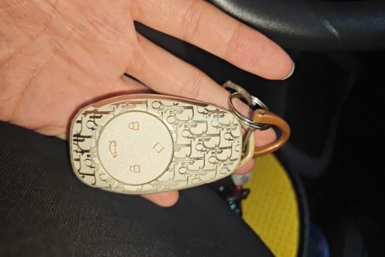 Used Leapmotor T03 2021 400 Lite Edition - Lithium-Ion Battery Vehicle Key