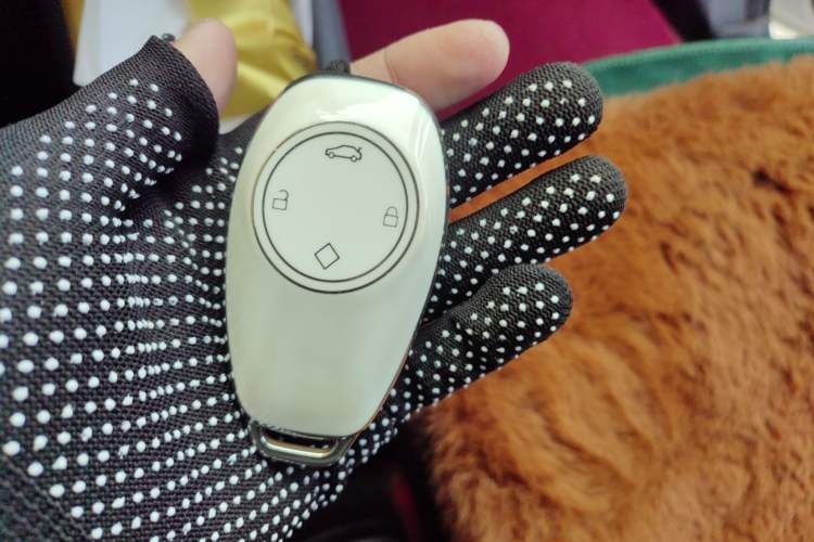 Used Leapmotor T03 2021 400 Lite Edition Lithium Iron Phosphate Vehicle Key