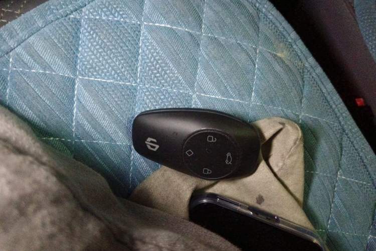 Used Leapmotor T03 2021 400 Luxury Edition Vehicle Key