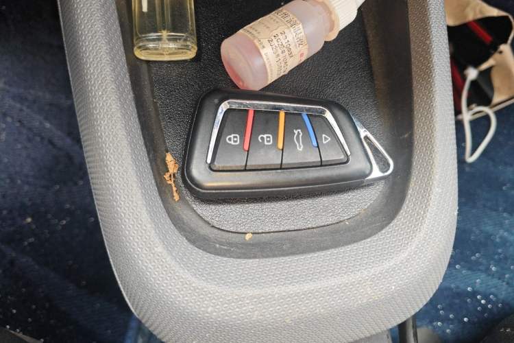 Used Leapmotor T03 2021 400 Micro-Sugar Version Vehicle Key