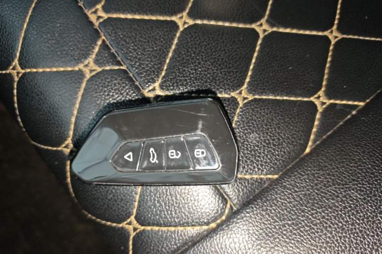 Used Leapmotor T03 2021 400 Online Booking Version Vehicle Key