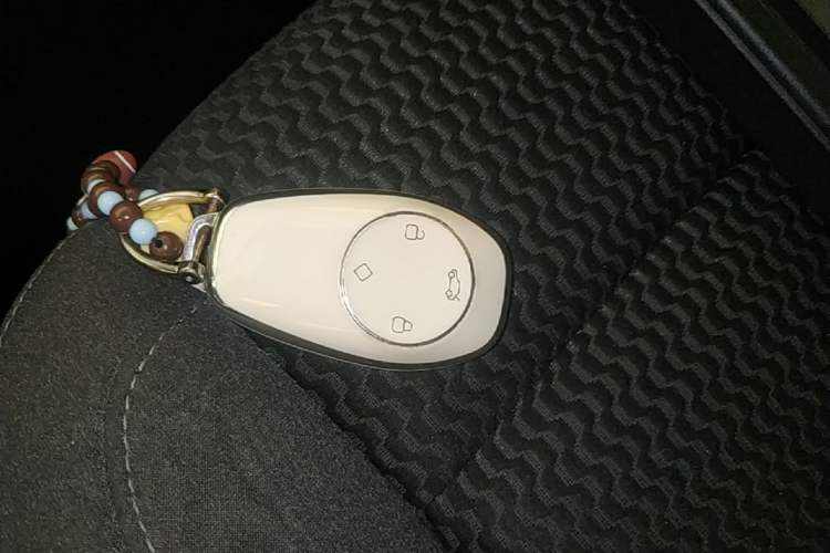 Used Leapmotor T03 2021 400 Lite Edition Lithium Iron Phosphate Vehicle Key