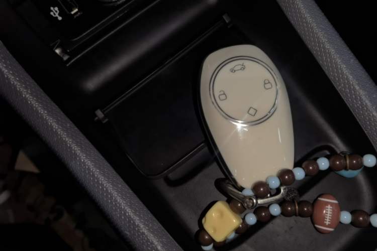 Used Leapmotor T03 2021 400 Comfort Edition Vehicle Key