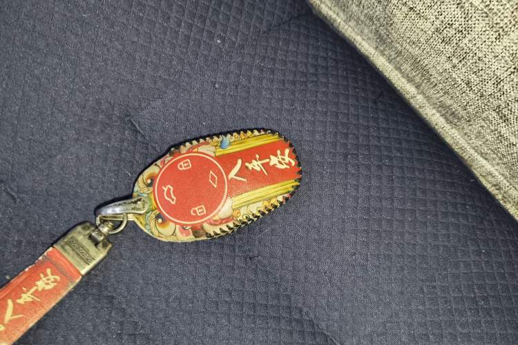 Used Leapmotor T03 2021 400 Lite Edition Lithium Iron Phosphate Vehicle Key