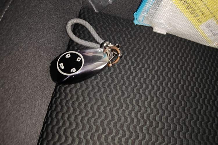 Used Leapmotor T03 2021 400 Lite Edition - Lithium-Ion Battery Vehicle Key