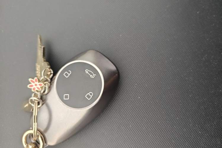 Used Leapmotor T03 2021 400 Lite Edition Lithium Iron Phosphate Vehicle Key