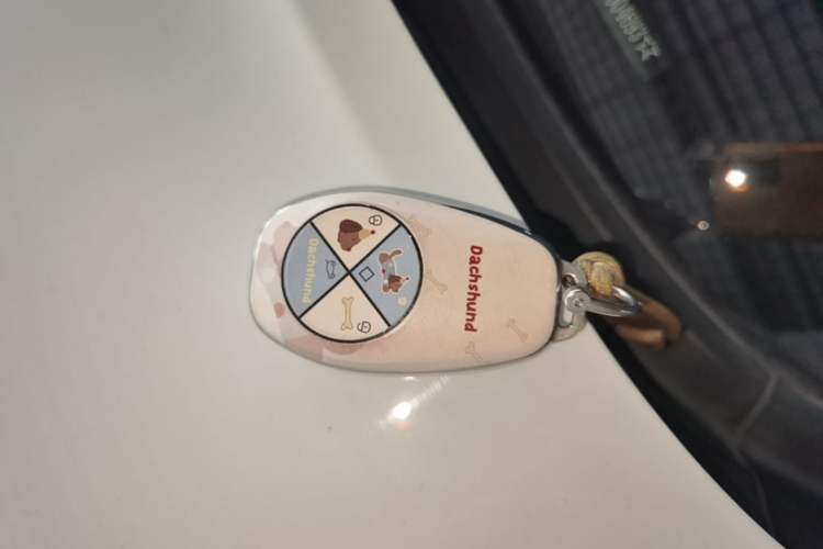Used Leapmotor T03 2021 400 Lite Edition - Lithium-Ion Battery Vehicle Key