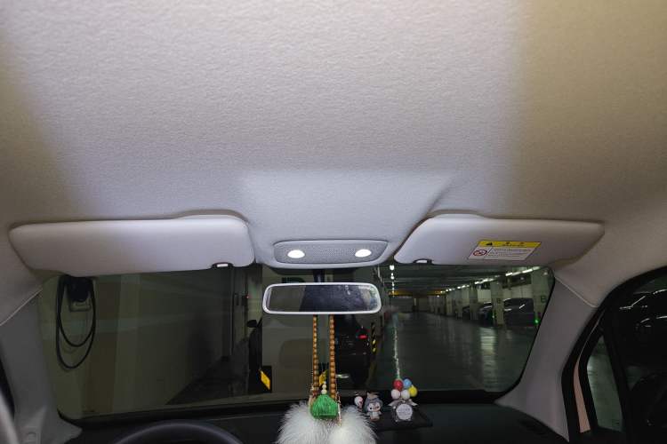 Used Leapmotor T03 2021 400 Micro-Sugar Version Headliner