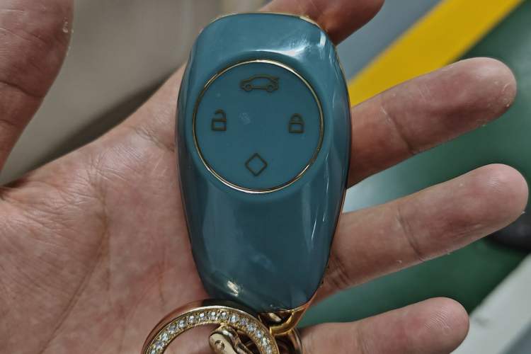 Used Leapmotor T03 2021 400 Micro-Sugar Version Vehicle Key