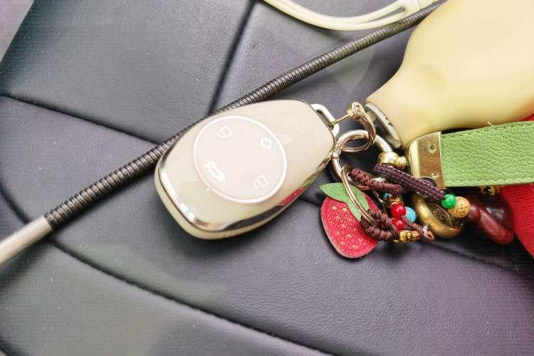 Used Leapmotor T03 2021 400 Luxury Edition Vehicle Key