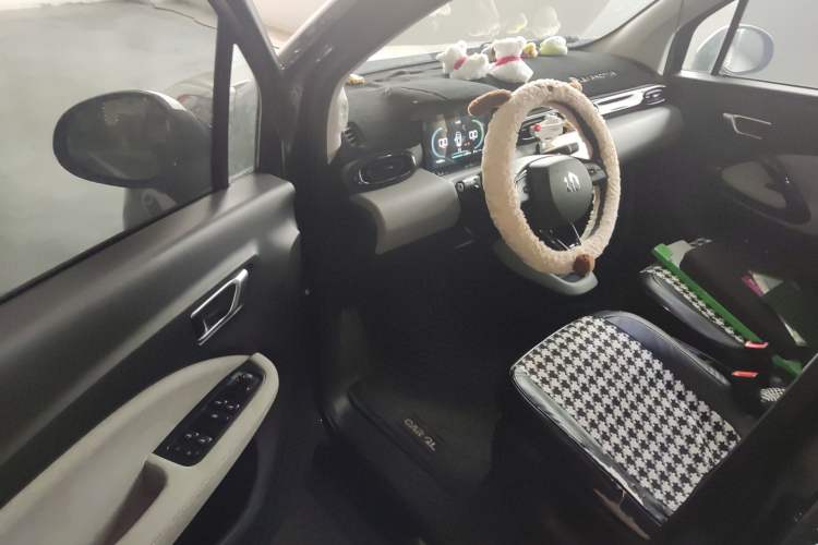 Used Leapmotor T03 2022 Hometown Jade Edition Driver Seat