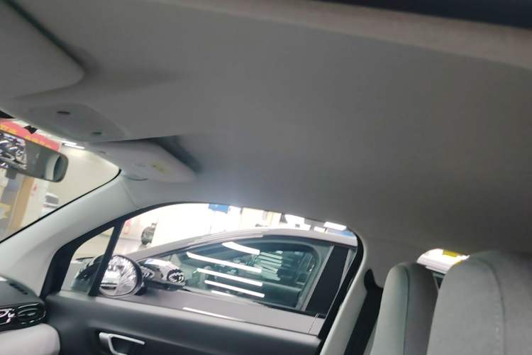 Used Leapmotor T03 2022 Hometown Jade Edition Headliner