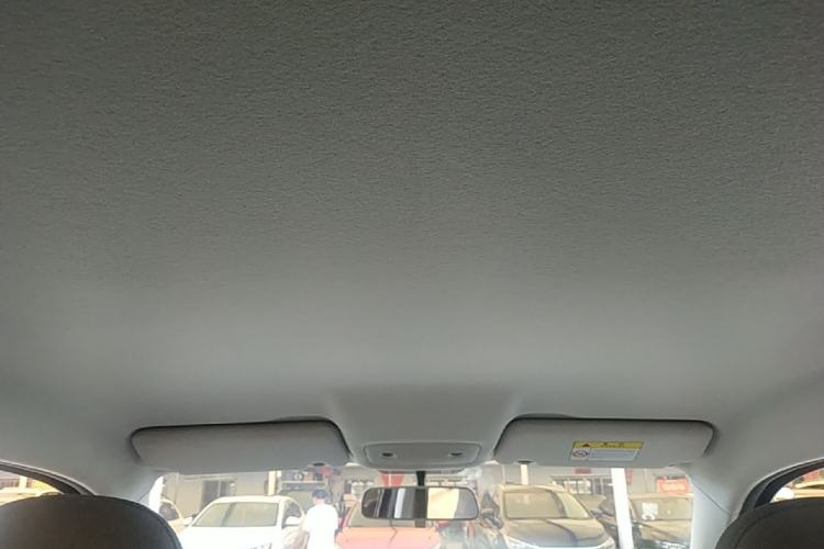 Used Leapmotor T03 2022 Crystal Edition Headliner