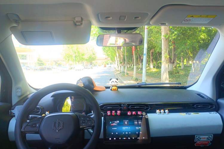 Used Leapmotor T03 2022 YAOJIN Edition Headliner