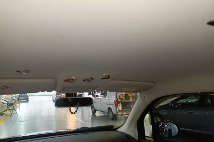 Used Leapmotor T03 2022 Hometown Jade Edition Headliner