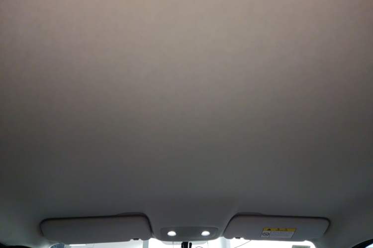 Used Leapmotor T03 2022 Hometown Jade Edition Headliner