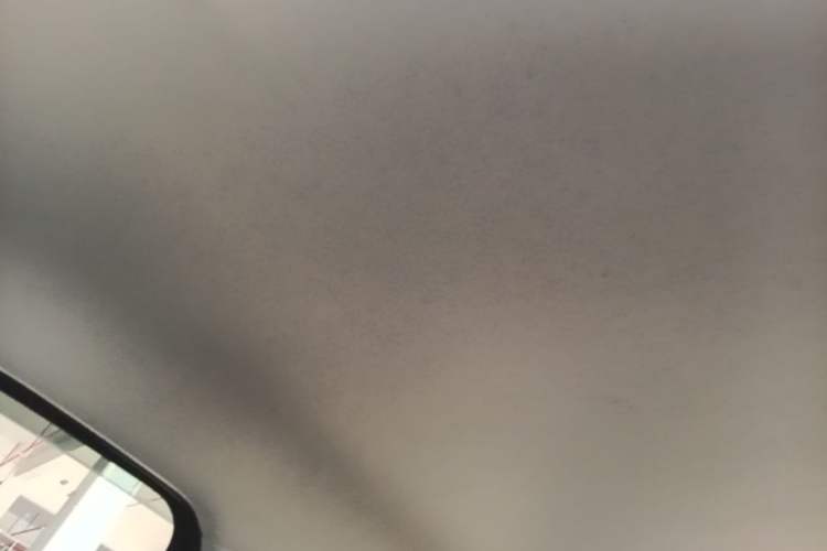 Used Leapmotor T03 2022 Crystal Edition Headliner