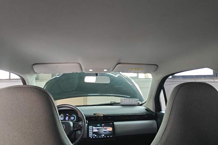 Used Leapmotor T03 2022 Crystal Edition Headliner