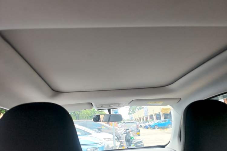 Used Leapmotor T03 2022 YAOJIN Edition Headliner