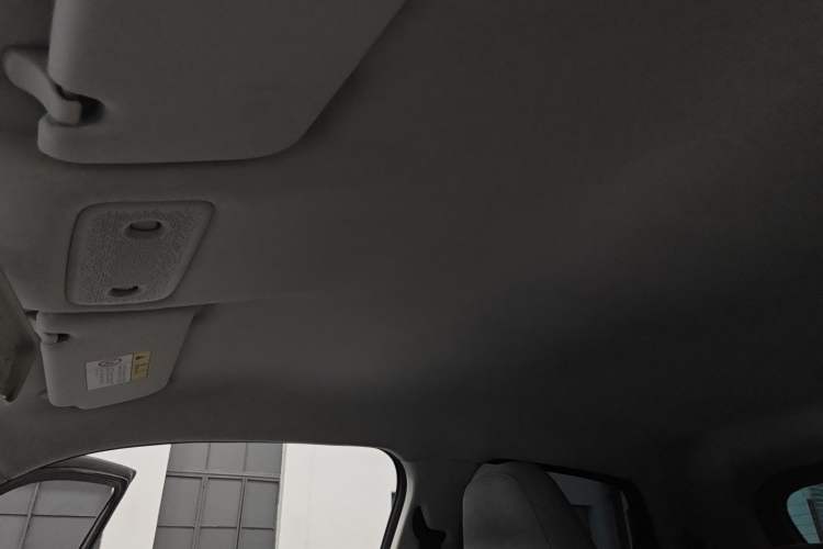 Used Leapmotor T03 2022 Hometown Jade Edition Headliner