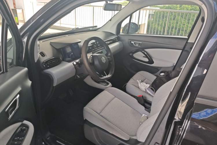 Used Leapmotor T03 2022 Crystal Edition Left Front Seat