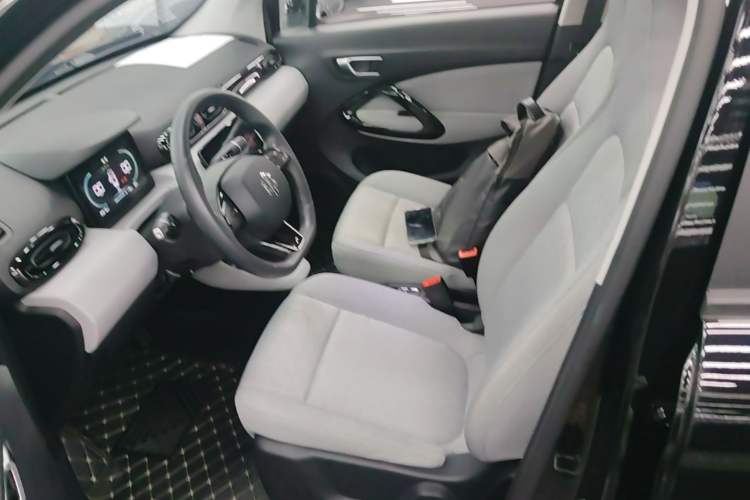 Used Leapmotor T03 2022 Hometown Jade Edition Left Front Seat