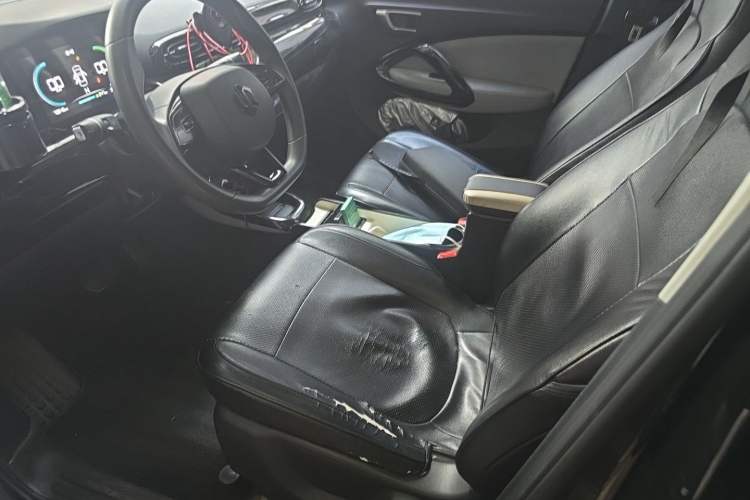 Used Leapmotor T03 2022 Crystal Edition Left Front Seat