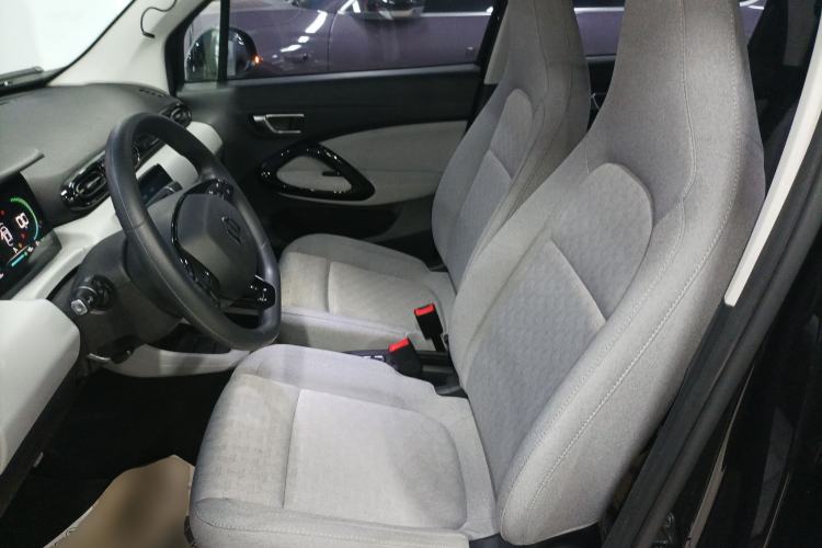 Used Leapmotor T03 2022 Crystal Edition Left Front Seat