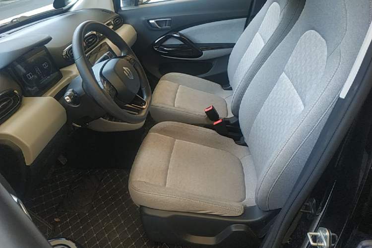 Used Leapmotor T03 2022 Crystal Edition Left Front Seat