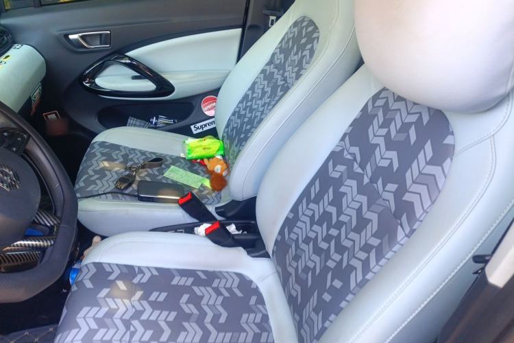 Used Leapmotor T03 2022 YAOJIN Edition Left Front Seat