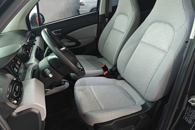 Used Leapmotor T03 2022 Crystal Edition Left Front Seat