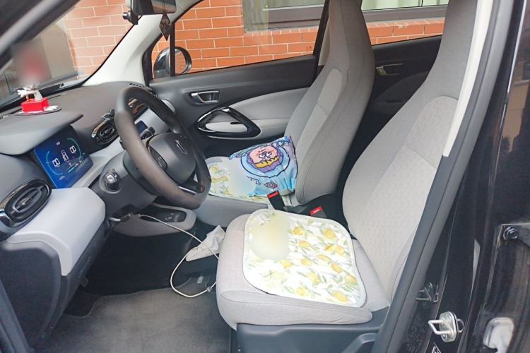 Used Leapmotor T03 2022 Crystal Edition Left Front Seat