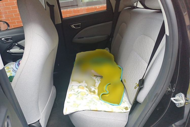 Used Leapmotor T03 2022 Crystal Edition Left Rear Seat