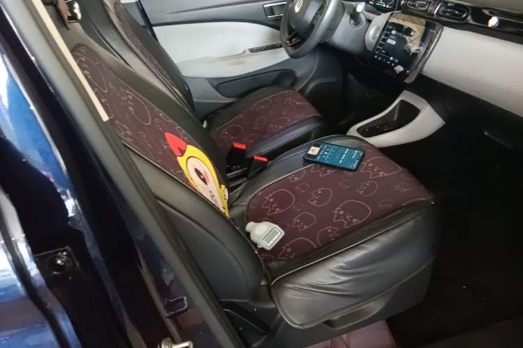 Used Leapmotor T03 2022 Crystal Edition Right Front Seat