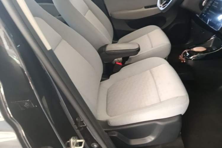 Used Leapmotor T03 2022 Crystal Edition Right Front Seat
