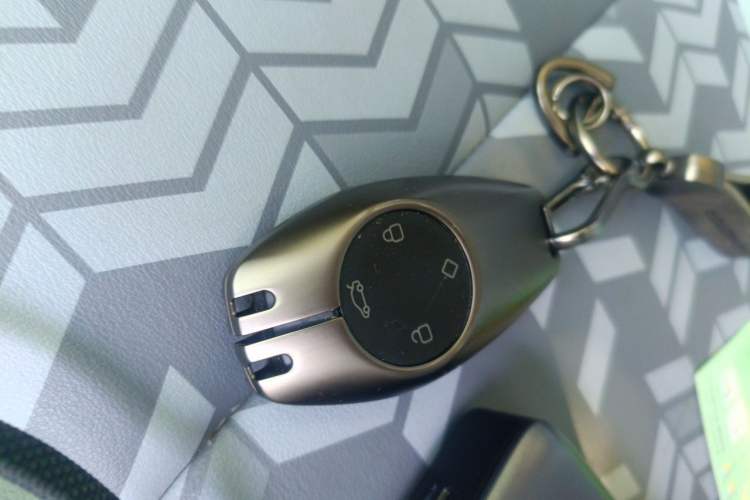 Used Leapmotor T03 2022 YAOJIN Edition Vehicle Key