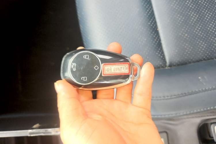 Used Leapmotor T03 2022 YAOJIN Edition Vehicle Key