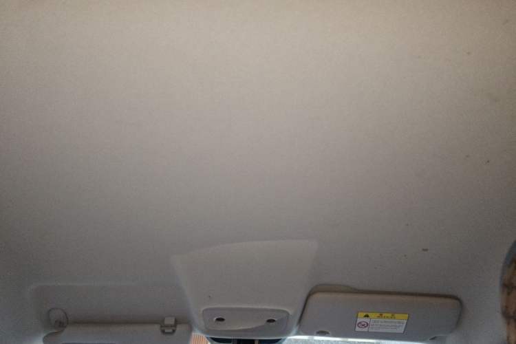 Used Leapmotor T03 2022 Hometown Jade Edition Headliner