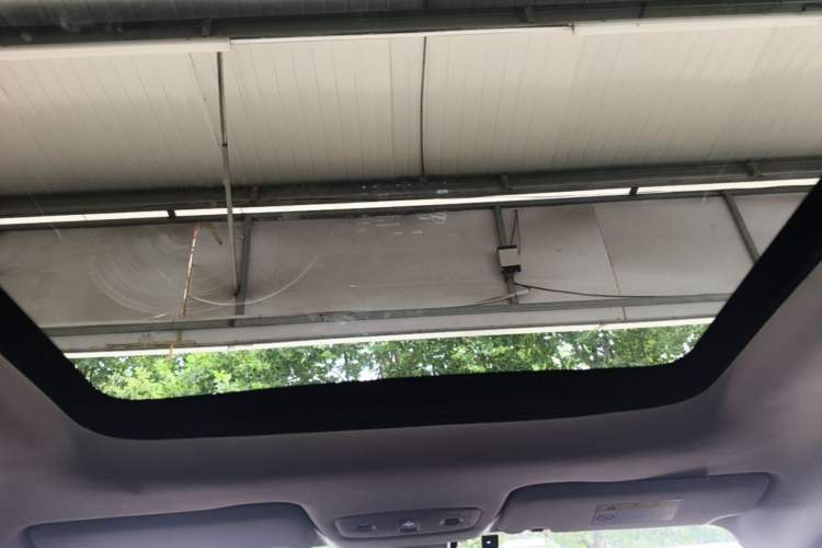 Used Leapmotor T03 2022 Star Diamond Edition Headliner